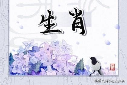 狗龍生肖|生肖配對｜屬龍12生肖夫妻配對表！最佳姻緣及相沖排